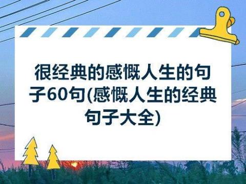 关于象征人生意义的句子大全 蒲公英的象征人生意义作文