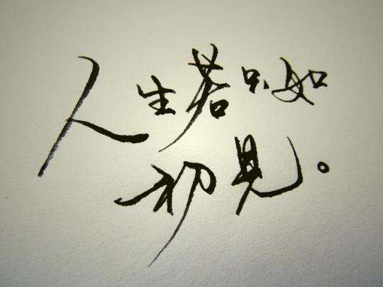 关于人生若能只初见的句子大全