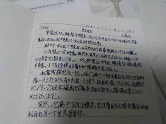 关于二百字优美句子大全 二百字优美文章