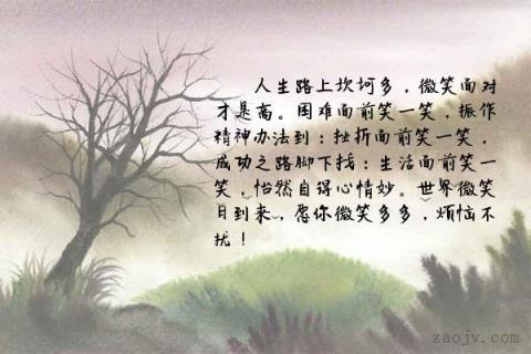 关于形容人生坎坷不如意的句子大全 关于形容人生的成语