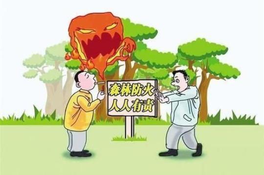 关于赞美护林人的优美句子大全 关于赞美护林员的句子