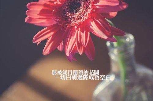 关于比喻白驹过隙的句子大全 白驹过隙比喻时光飞逝吗