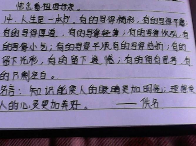 关于回复评论优美的句子大全 神回复评论