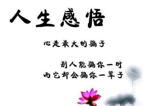 关于人生感悟销售的句子大全 关于人生感悟的作文600字