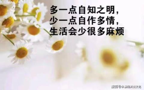 关于讨论人生厚度的句子大全 关于讨论人生价值的作文标题