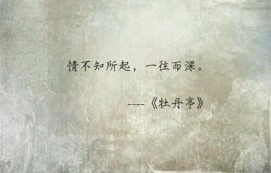 关于表达爱慕之心句子大全 关于表达爱慕的诗句