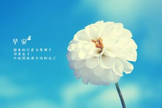 关于早安句子说说搞笑心情短语大全 关于早安句子经典语句