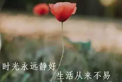 关于表达生活好的句子说说心情大全 关于表达生活感悟的句子