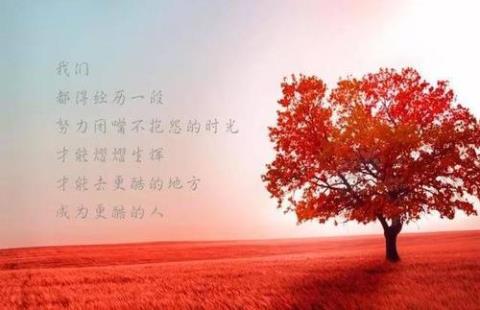 关于工作正能量句子说说心情大全 关于工作能量的句子