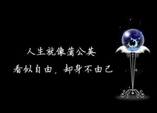 关于平凡人生经典句子大全 关于平凡人生的作文结尾