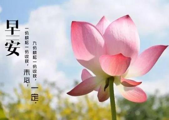 关于阳光让人舒服心情好的句子大全 阳光舒服的句子