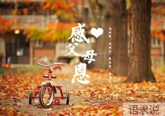 关于比喻父母辛苦的句子大全 关于比喻父母的爱的句子