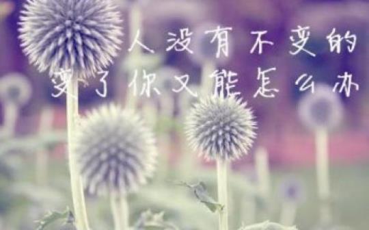 关于失去简单的句子说说心情大全 失去造句简单