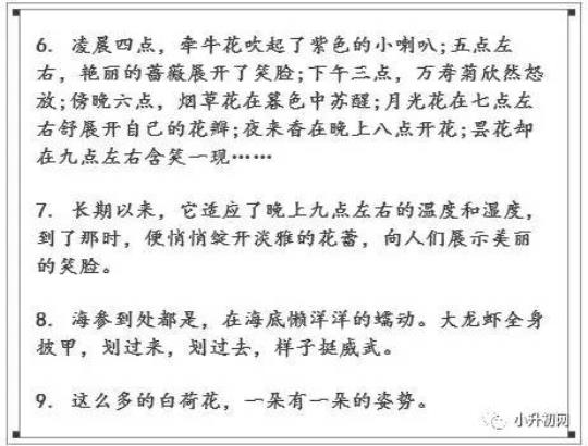 关于比喻文采好的句子大全 比喻文采好的词语