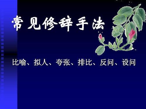 关于分析文中句子修辞手法和表达效果大全 分析在文中的作用