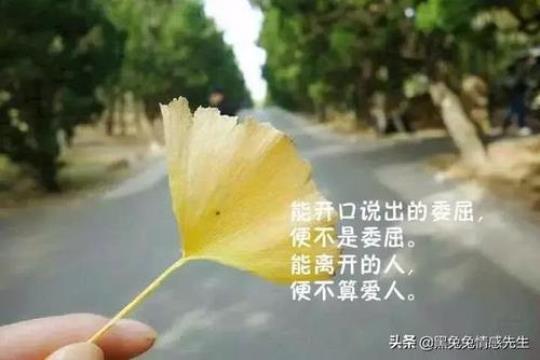 关于感悟的简单句子说说心情大全 生活感悟简单一句话