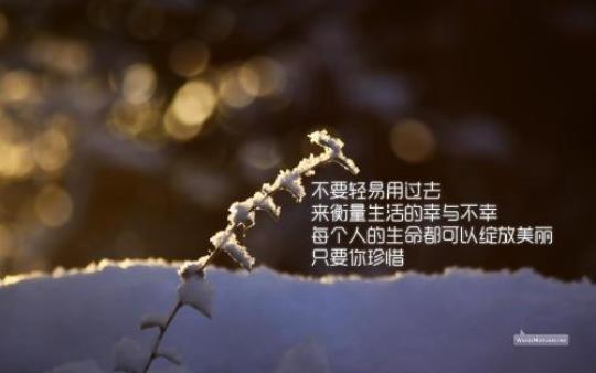 关于感恩励志的经典句子说说心情说说大全 关于感恩励志的手抄报图片