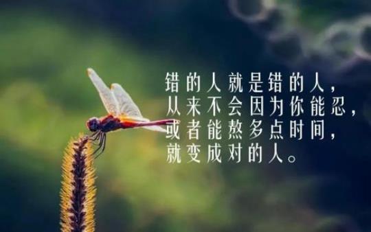 关于失去孩子的正能量句子说说心情短语大全 关于失去孩子悲伤心情的语句