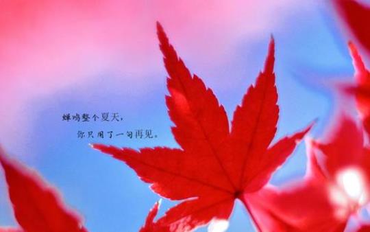 关于告别夏天优美句子大全 关于告别夏天的文案