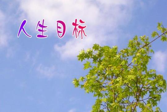 关于人生的目标是什么经典句子大全 关于人生目标的作文800字