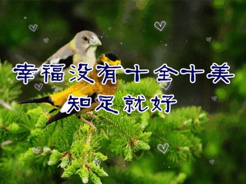 关于人知足就好的人生感悟句子大全 人生知足何时足