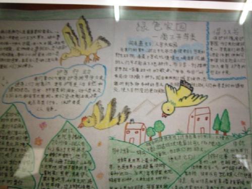 关于观鸟日记优美句子大全 观鸟日记小报