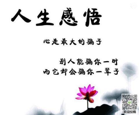 关于中考作文常用的人生感悟句子大全 关于中考作文600字左右