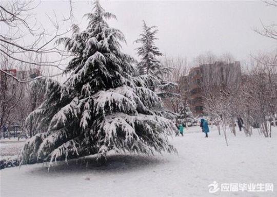 关于写一句比喻雪的句子大全 写一句比喻的话