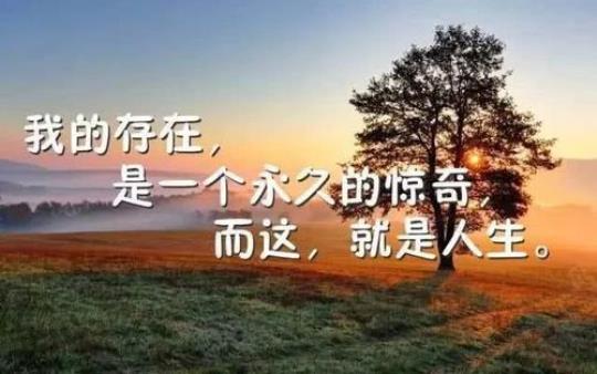 关于舒写人生的句子朋友圈大全