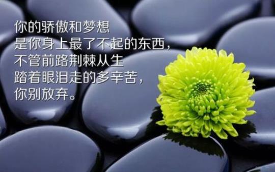 关于正能量的人生哲理句子说说心情短语大全