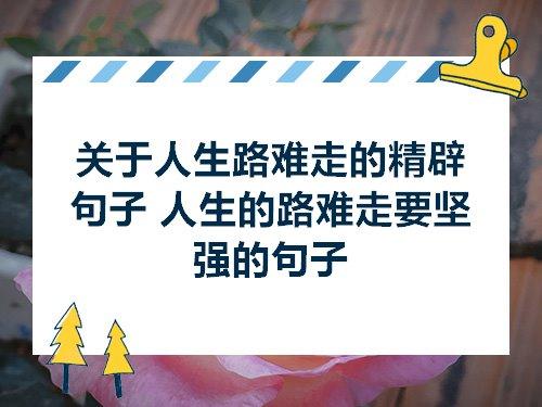 关于人生路上困难多的句子大全 关于人生路上的浆果的作文