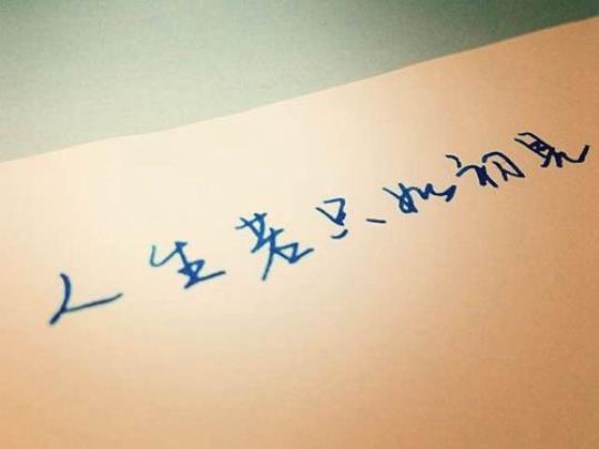 关于人生只如初相见的句子大全 人生若如初见过审